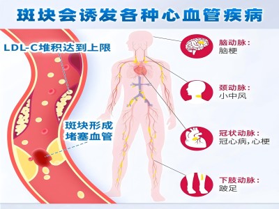 微信图片_20241121081555(1)